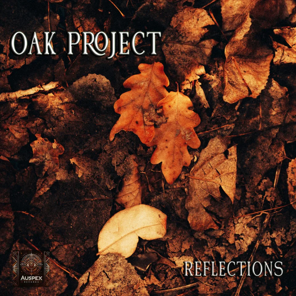 Cover art for Reflections by Oak Project